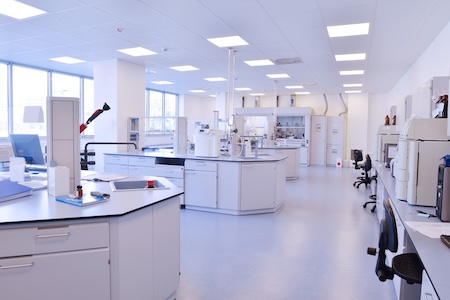 lab